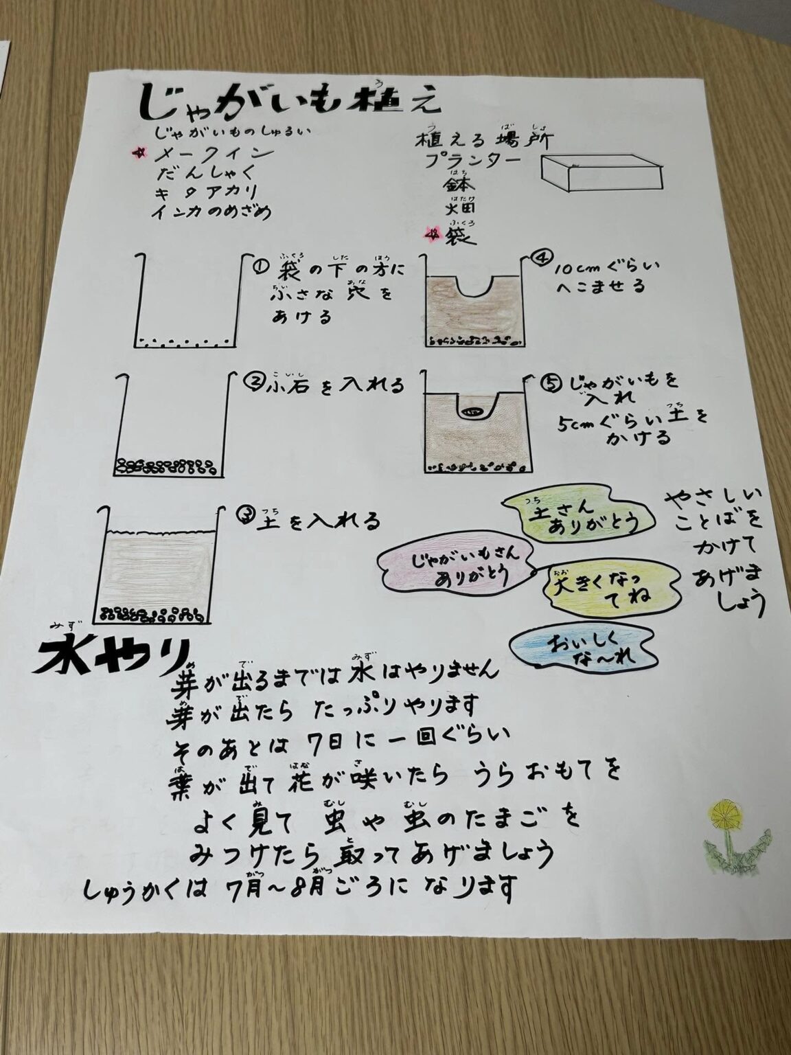 【ジャガイモって、どこになるか知ってますか？】